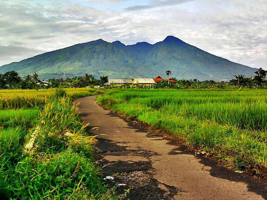 Bogor Valley Hotel Exteriör bild